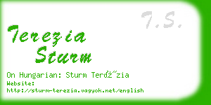 terezia sturm business card